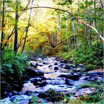 paint creek west virginia