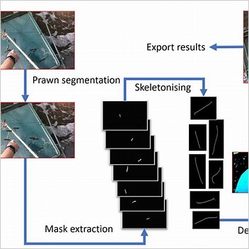 Vgg Image Annotator Machine Learning